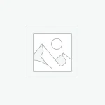 Eames plastic side chair